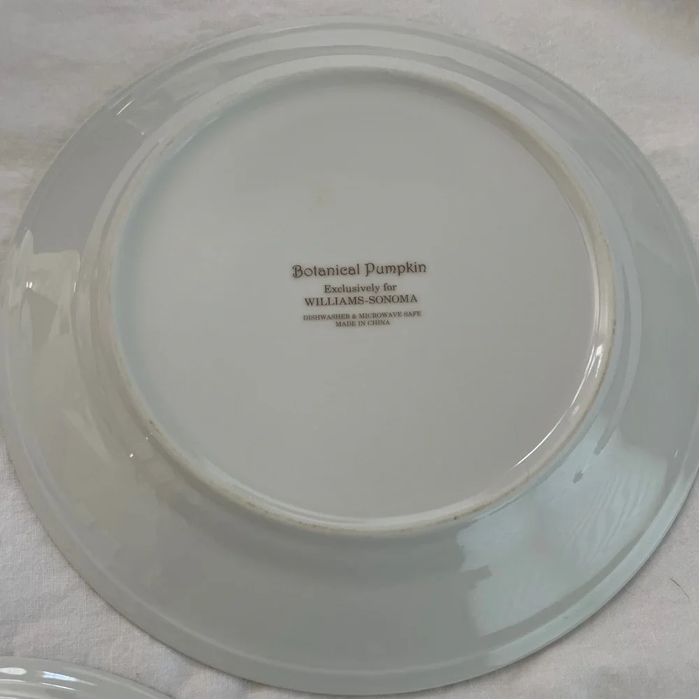 Williams Sonoma Botanical Pumpkin Salad Dessert Plates 8.5” diameter (Set of 3)